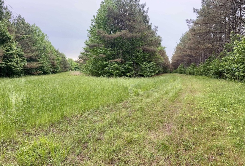 0 MOORE RD, Red Banks, Mississippi 38635, ,Land,For Sale,MOORE,10220590