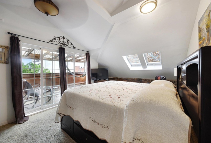Carpeted bedroom with access to exterior, vaulted ceiling, a skylight, and baseboards