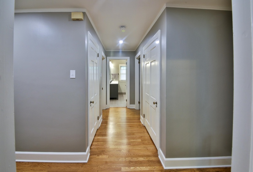 Hallway with wood-finish flooring and light gray walls