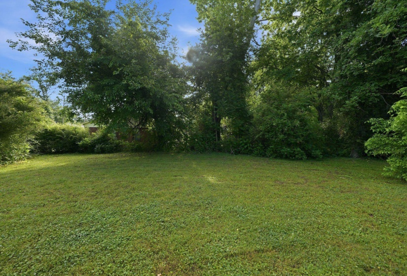 Expansive lawn area with mature trees and established perimeter shrubbery