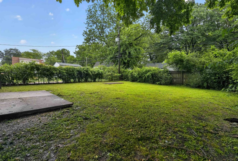 Expansive grassy yard with mature perimeter shrubs and trees, featuring a concrete pad and a wood fence section