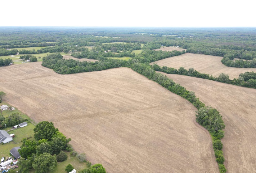 22 S HWY, Michie, Tennessee 38357, ,Land,For Sale,22 S,10220628