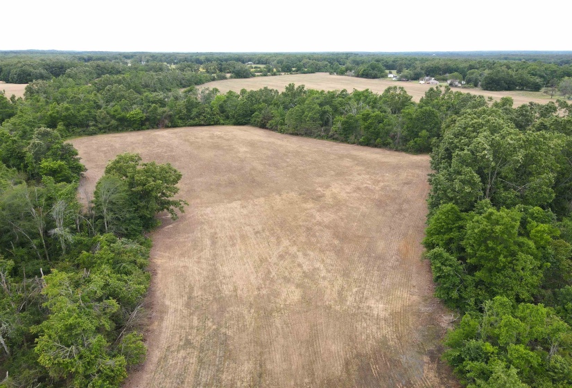 22 S HWY, Michie, Tennessee 38357, ,Land,For Sale,22 S,10220628