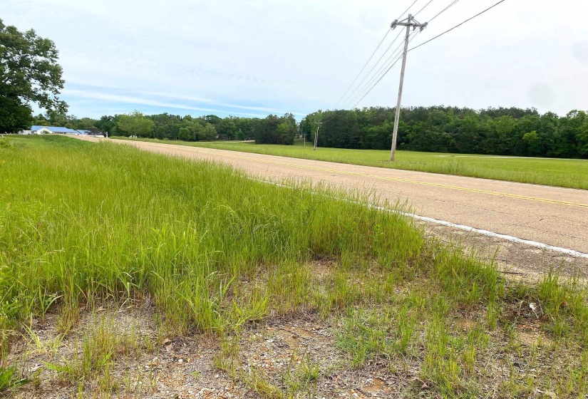 22 S HWY, Michie, Tennessee 38357, ,Land,For Sale,22 S,10220628