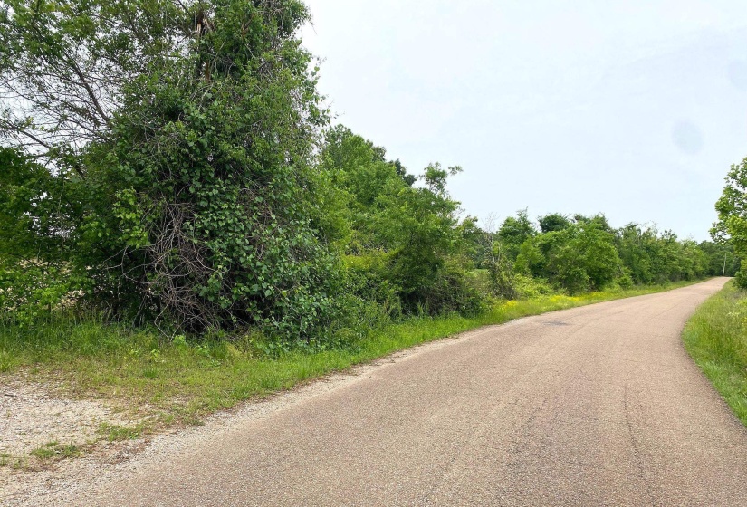 22 S HWY, Michie, Tennessee 38357, ,Land,For Sale,22 S,10220628