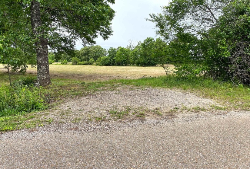 22 S HWY, Michie, Tennessee 38357, ,Land,For Sale,22 S,10220628