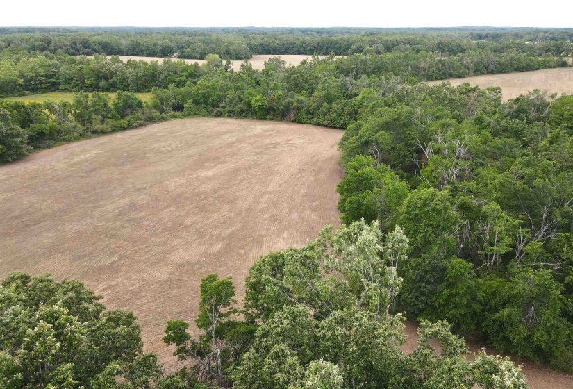 22 S HWY, Michie, Tennessee 38357, ,Land,For Sale,22 S,10220628
