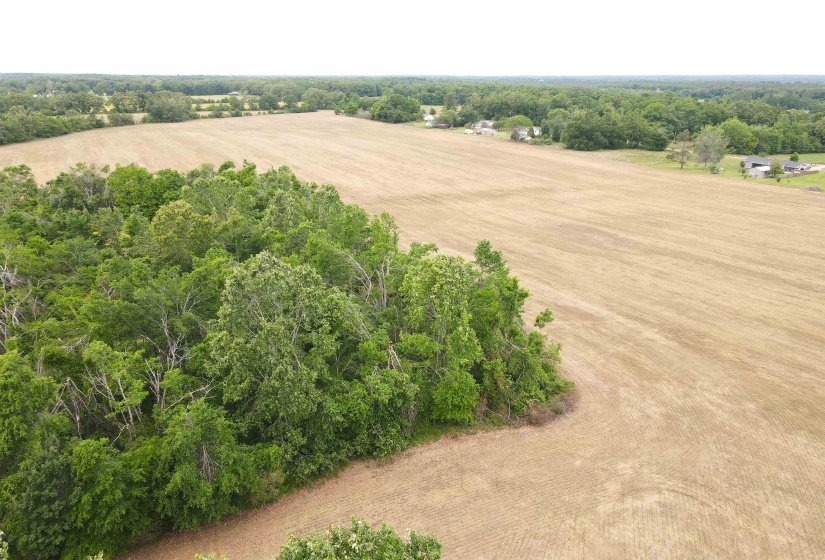 22 S HWY, Michie, Tennessee 38357, ,Land,For Sale,22 S,10220628