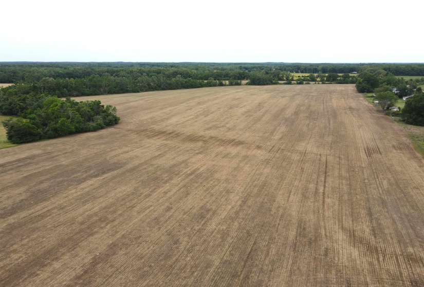 22 S HWY, Michie, Tennessee 38357, ,Land,For Sale,22 S,10220628