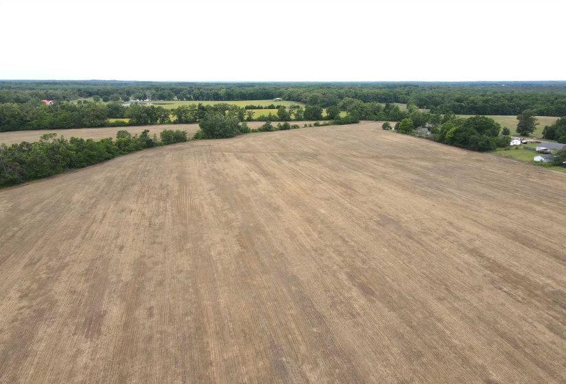 22 S HWY, Michie, Tennessee 38357, ,Land,For Sale,22 S,10220628