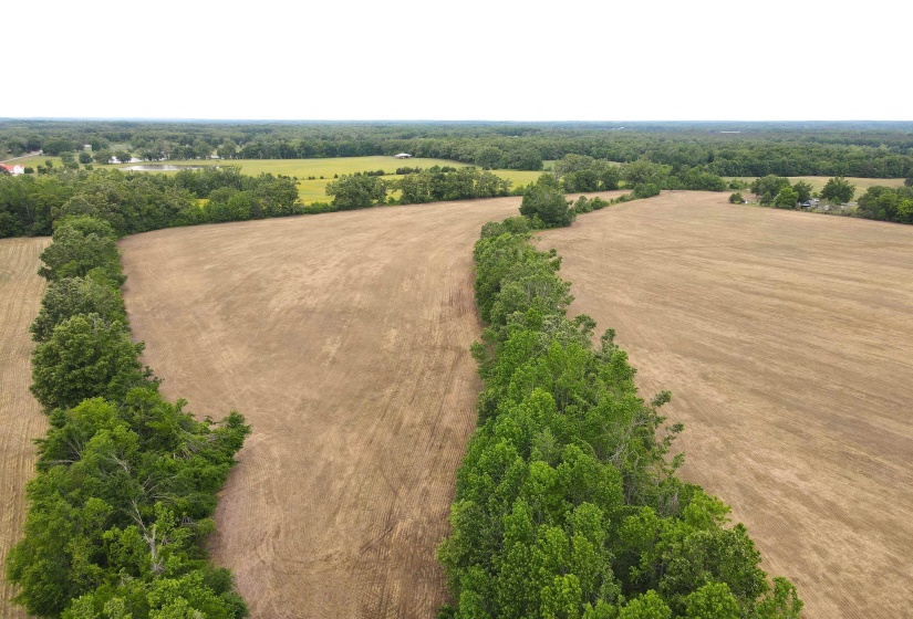 22 S HWY, Michie, Tennessee 38357, ,Land,For Sale,22 S,10220628