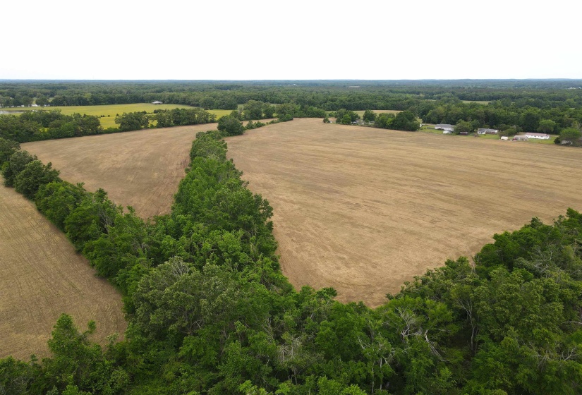 22 S HWY, Michie, Tennessee 38357, ,Land,For Sale,22 S,10220628