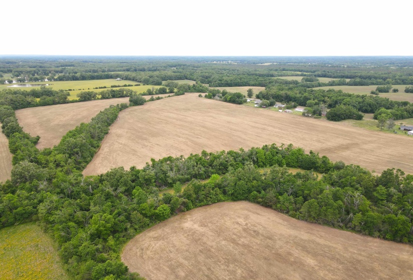 22 S HWY, Michie, Tennessee 38357, ,Land,For Sale,22 S,10220628
