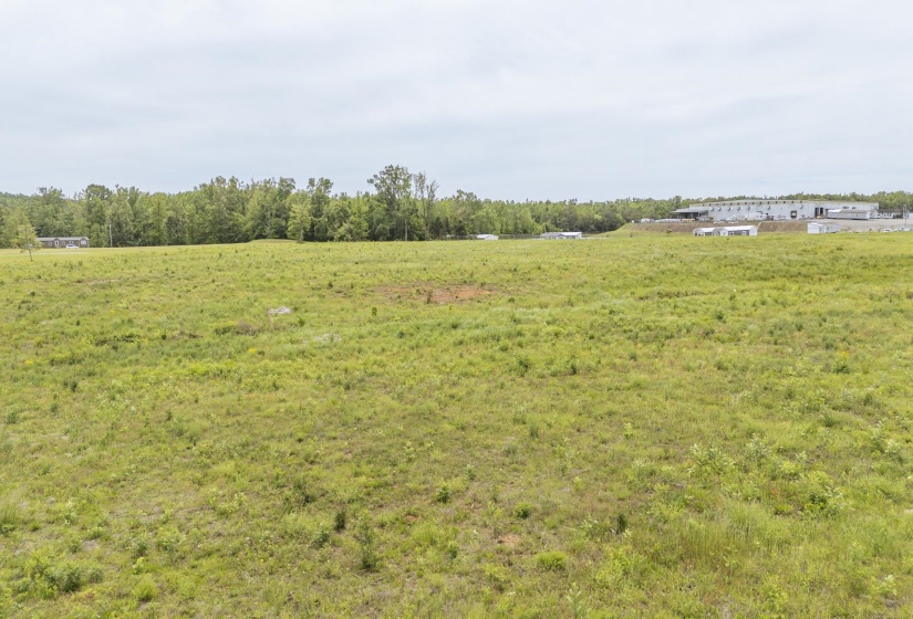 2870 226 HWY, Savannah, Tennessee 38372-5641, 0 , 0 ,0,Land,For Sale,226,0,10220644