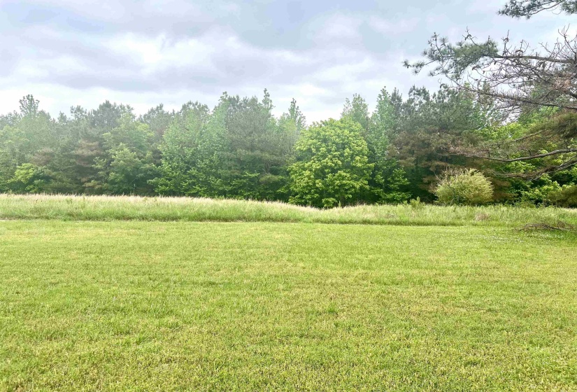 Expansive green lawn extending to a natural border of diverse trees and foliage