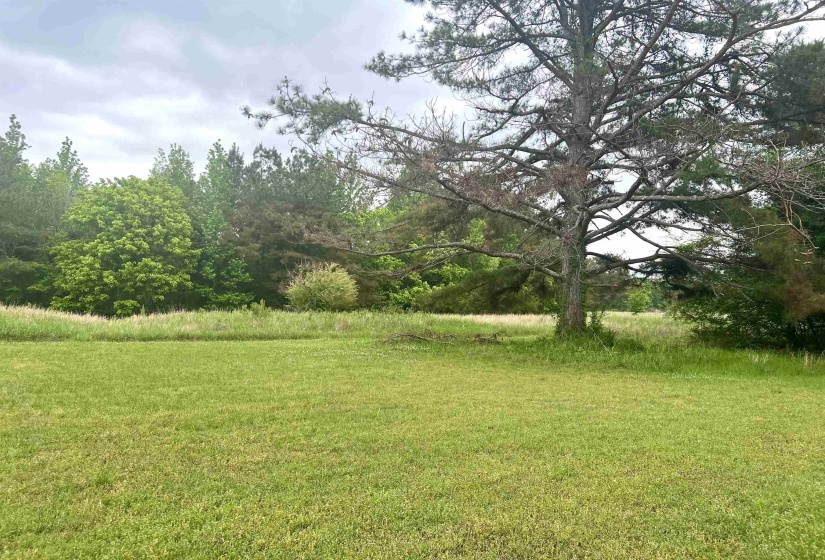 Expansive grassy area with mature trees and a wooded perimeter