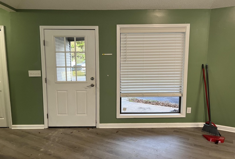 Room featuring a white paneled door with nine-lite window, a large window with white blinds, olive-green walls, white baseboards, and wood-finish flooring