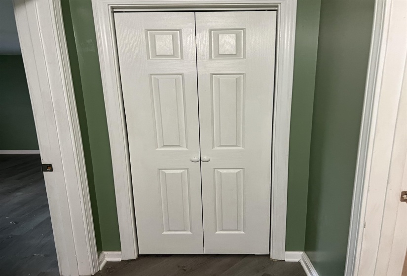 Bi-fold paneled doors with round white knobs set against a green painted wall