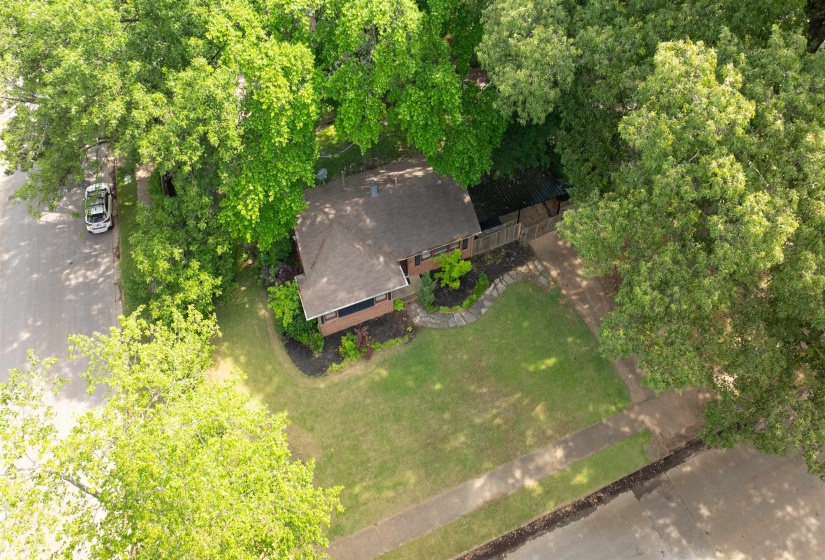 Brick exterior home surrounded by mature trees