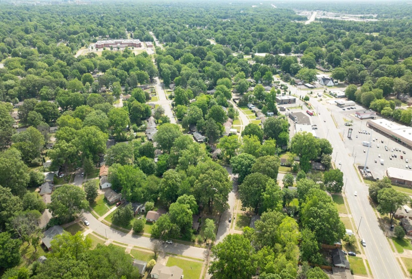 Expansive tree canopy defining the residential areas and commercial corridors