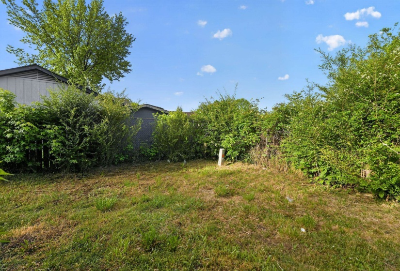 Expansive outdoor space featuring a mix of mature and varied foliage, a partially visible privacy fence, and a clear blue sky