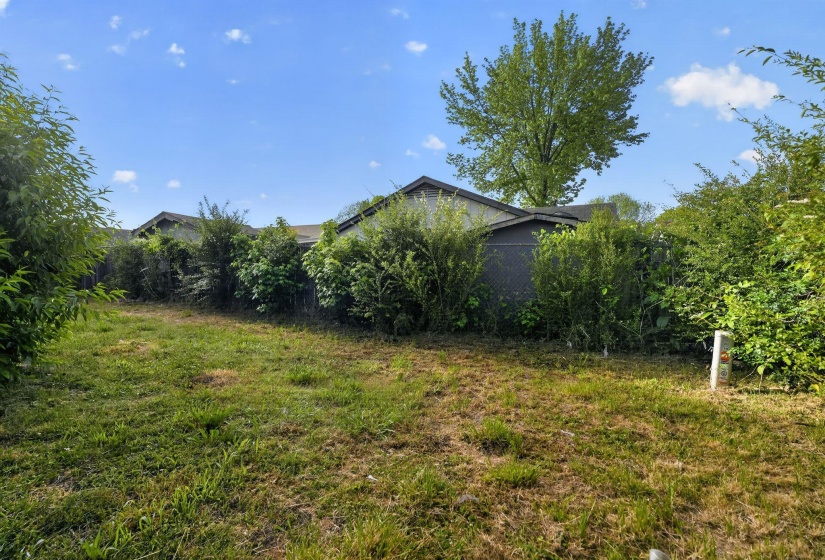 Expansive exterior space featuring natural grass, mature perimeter shrubs, and a clear blue sky