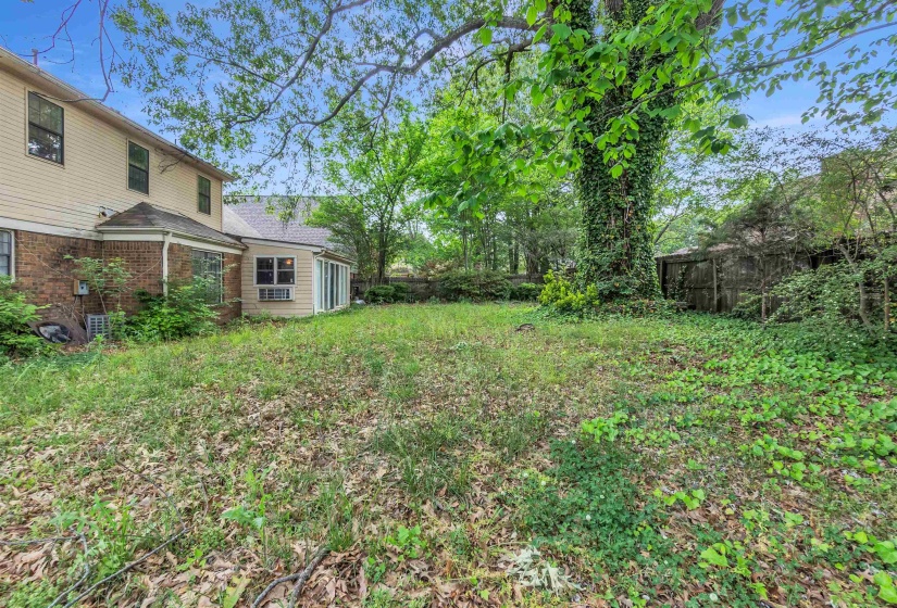 Spacious backyard with mature trees providing extensive shade