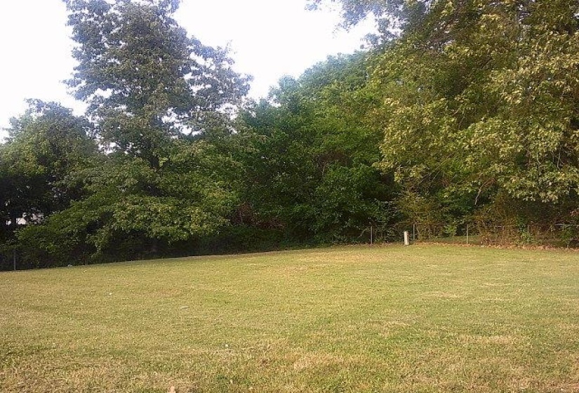 Expansive green lawn bordered by mature trees and natural foliage