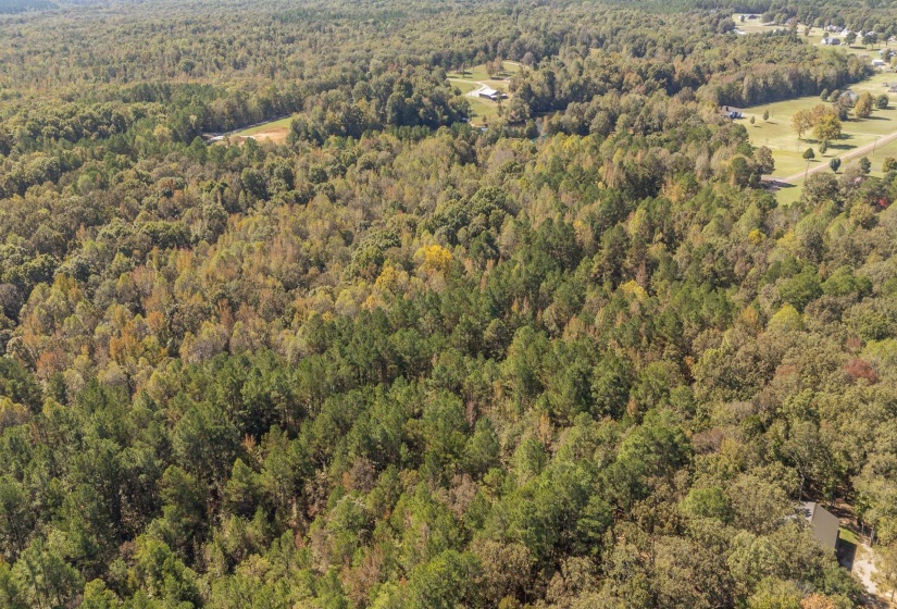 0 CLIFFTVIEW RD, Bolivar, Tennessee 38008, 0 , 0 ,0,Land,For Sale,CLIFFTVIEW,0,10220690
