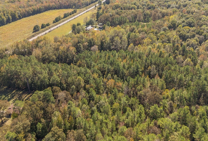 0 CLIFFTVIEW RD, Bolivar, Tennessee 38008, 0 , 0 ,0,Land,For Sale,CLIFFTVIEW,0,10220690