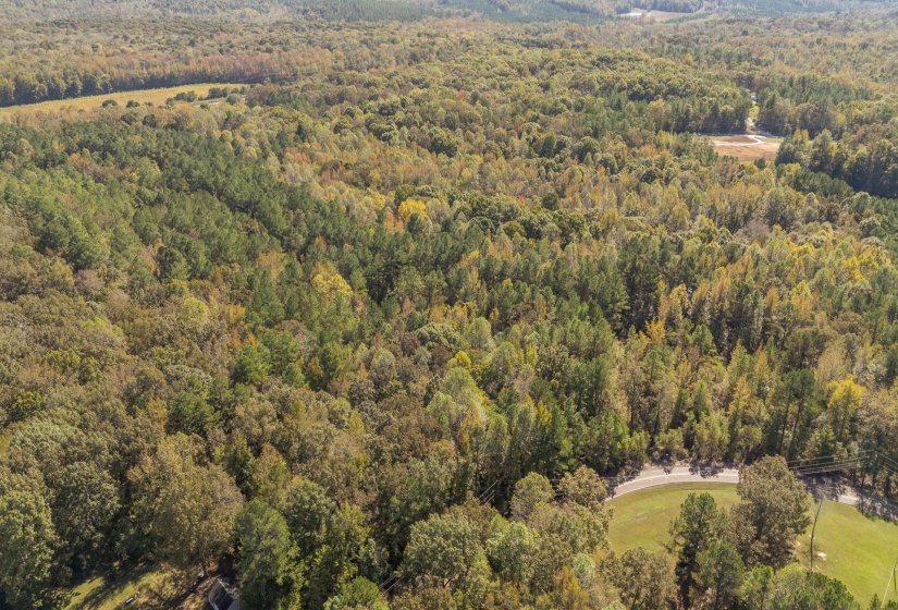 0 CLIFFTVIEW RD, Bolivar, Tennessee 38008, 0 , 0 ,0,Land,For Sale,CLIFFTVIEW,0,10220690