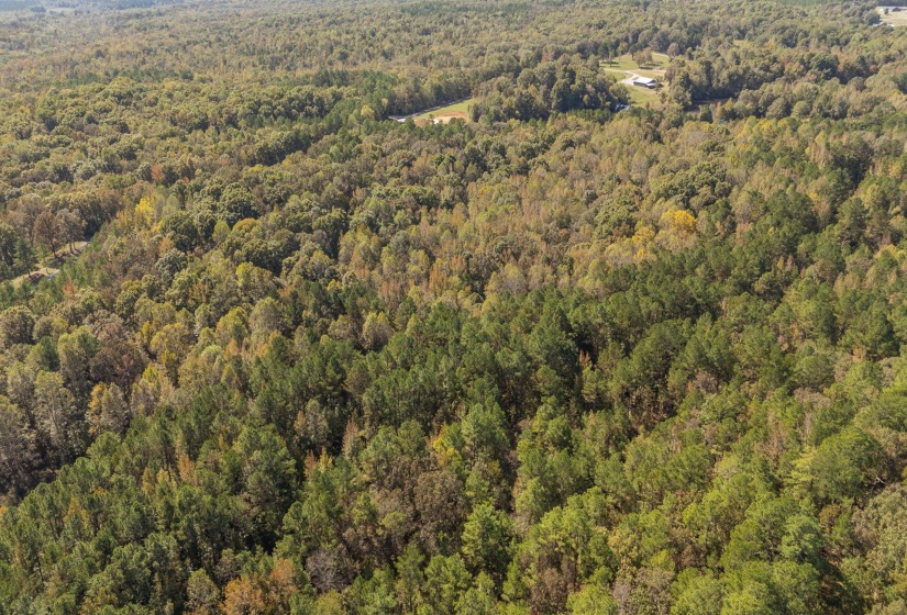 0 CLIFFTVIEW RD, Bolivar, Tennessee 38008, 0 , 0 ,0,Land,For Sale,CLIFFTVIEW,0,10220690
