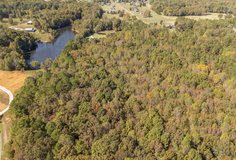 0 CLIFFTVIEW RD, Bolivar, Tennessee 38008, 0 , 0 ,0,Land,For Sale,CLIFFTVIEW,0,10220690