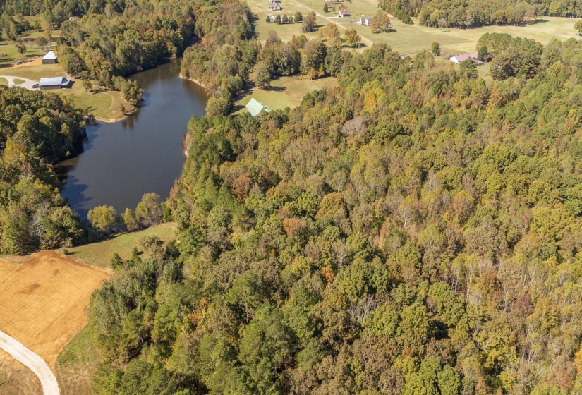 0 CLIFFTVIEW RD, Bolivar, Tennessee 38008, 0 , 0 ,0,Land,For Sale,CLIFFTVIEW,0,10220690