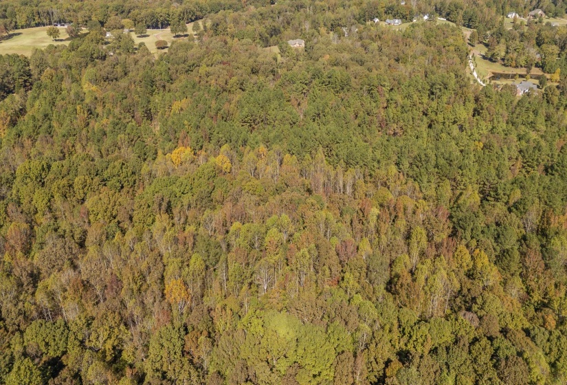 0 CLIFFTVIEW RD, Bolivar, Tennessee 38008, 0 , 0 ,0,Land,For Sale,CLIFFTVIEW,0,10220690