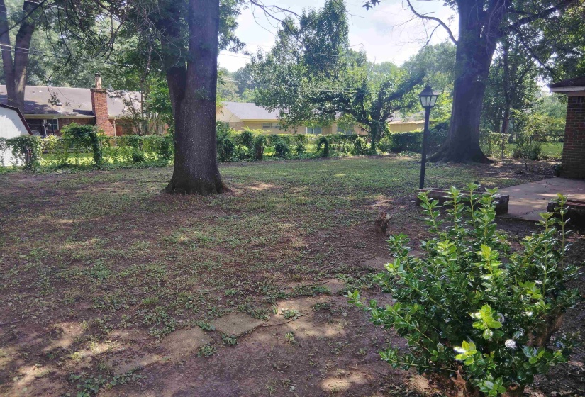 Expansive rear yard featuring mature trees, a lamp post, and surrounding foliage