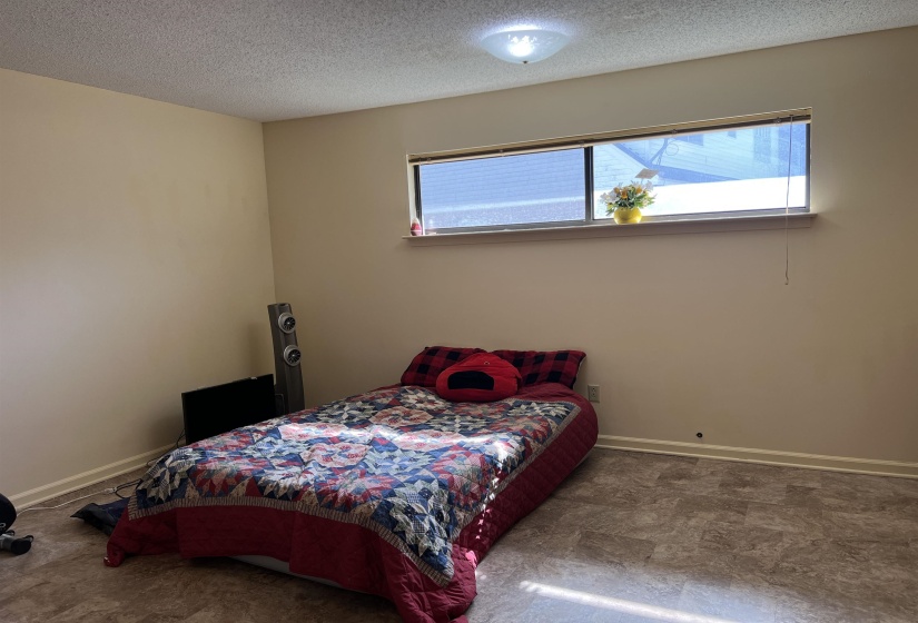 Carpeted bedroom featuring baseboards, multiple windows, and a textured ceiling