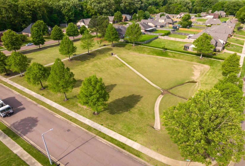 Expansive green space featuring mature trees and paved walking paths
