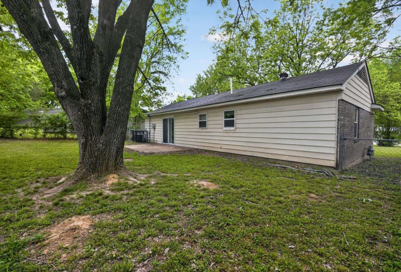 Expansive rear yard featuring a large mature tree providing natural shade