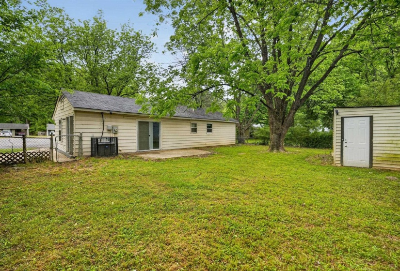 Expansive backyard featuring a large tree, a concrete patio, and a storage shed with a white door