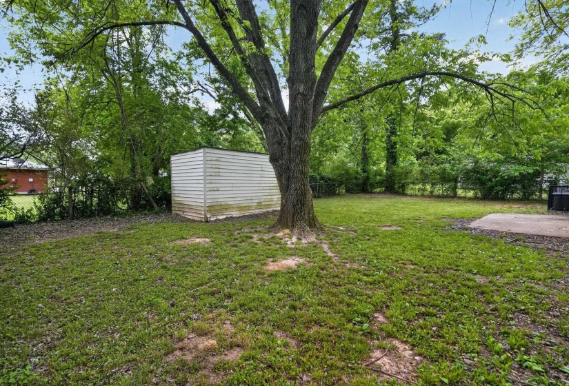 Spacious rear yard with mature shade tree, a separate storage shed, perimeter fencing, and concrete patio area