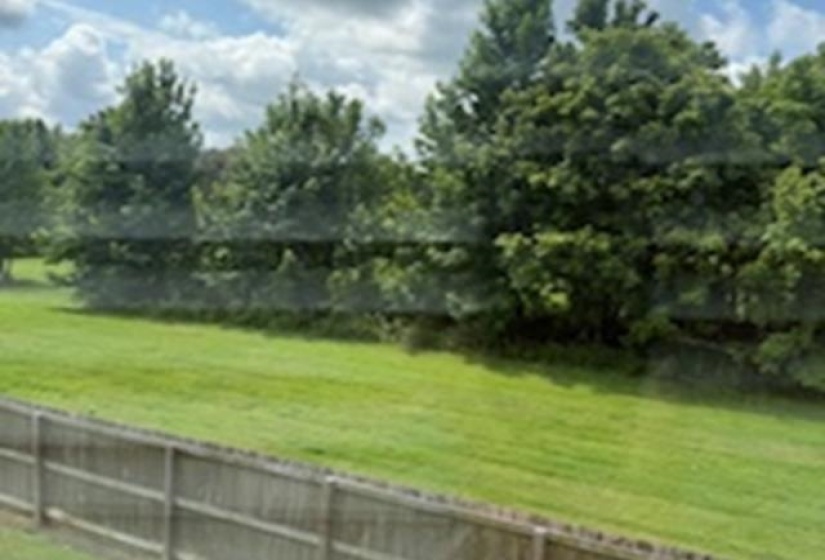 Expansive green lawn bordered by a wood fence, mature trees, and natural foliage