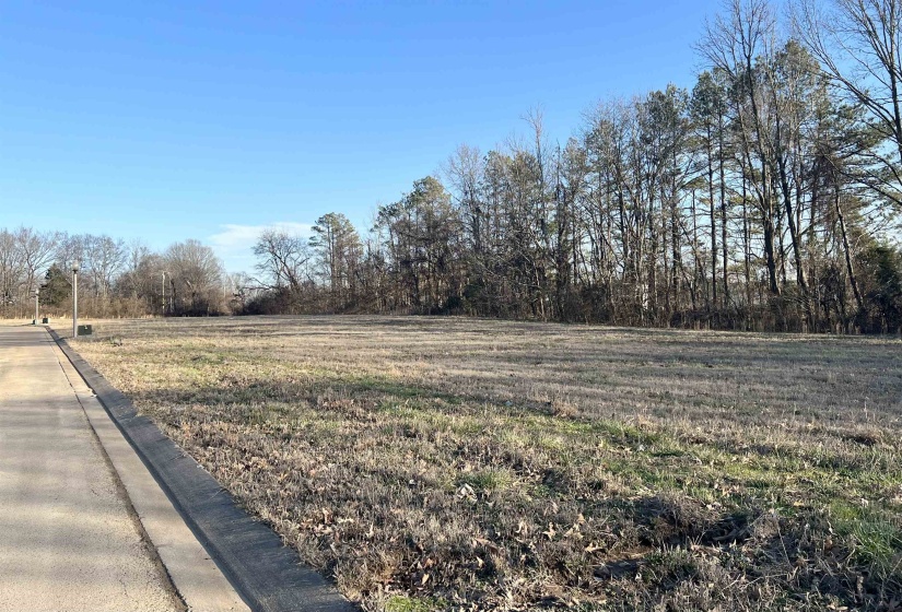 51, 52, 55, 56 YORK COMMONS ST, Ripley, Tennessee 38063, ,Land,For Sale,YORK COMMONS,10220778