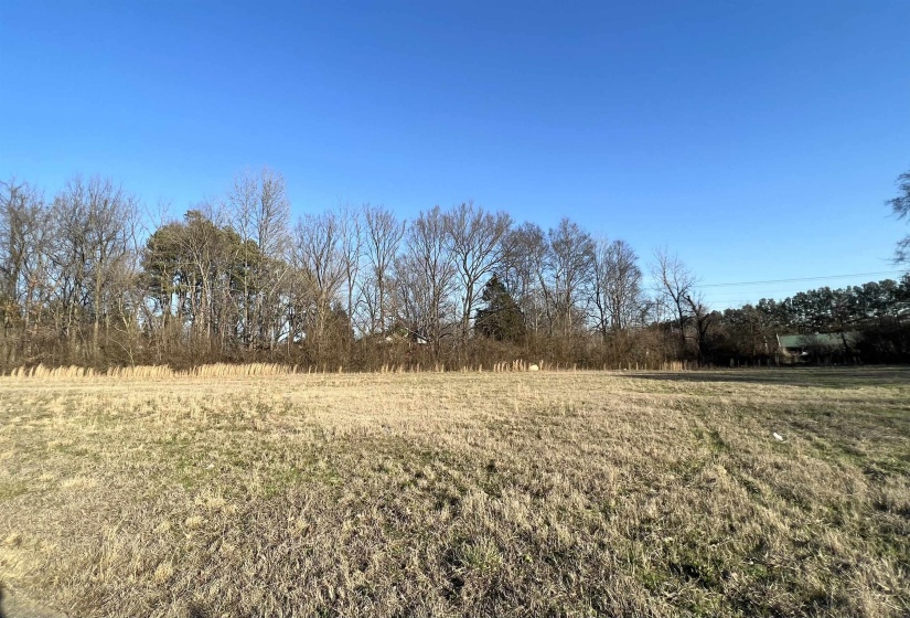 51, 52, 55, 56 YORK COMMONS ST, Ripley, Tennessee 38063, ,Land,For Sale,YORK COMMONS,10220778