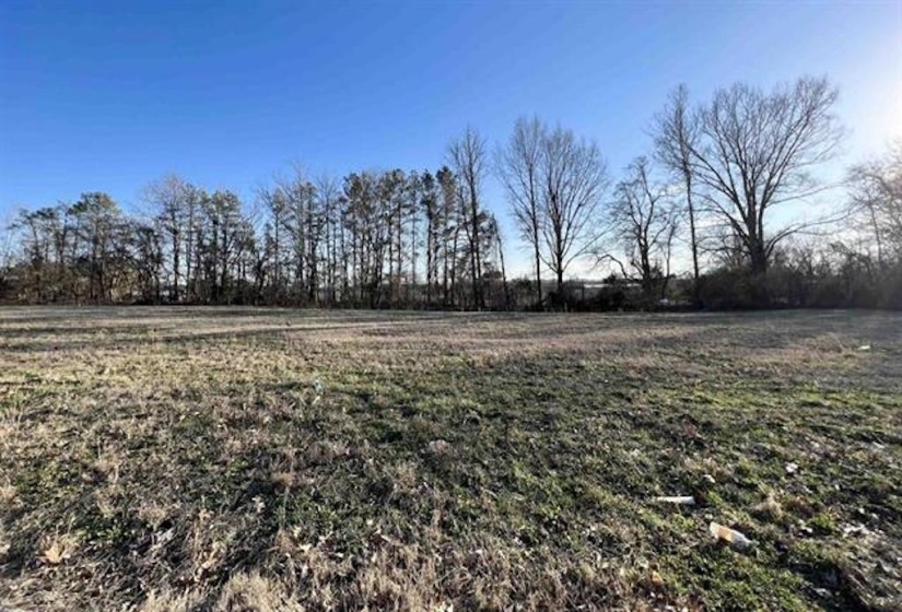 52 YORK COMMONS ST, Ripley, Tennessee 38063, ,Land,For Sale,YORK COMMONS,10220781