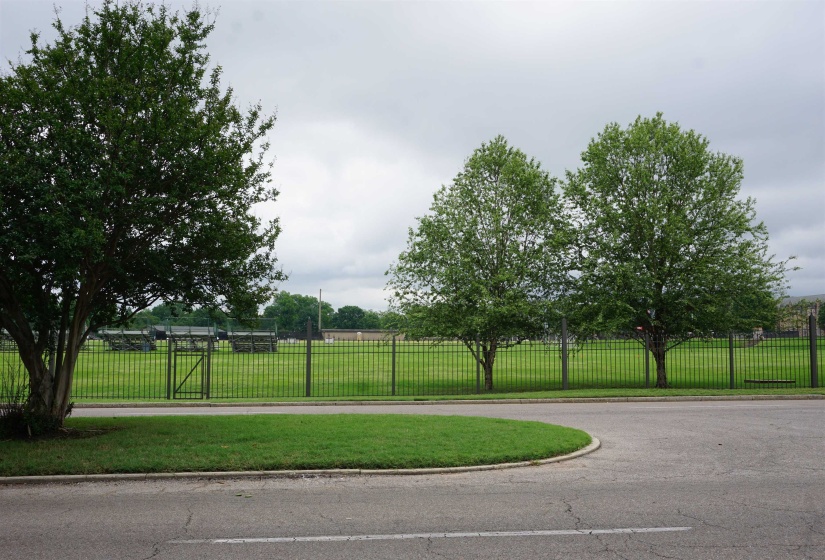 Expansive green space featuring a black iron fence, multiple mature trees, and a paved street with a curb