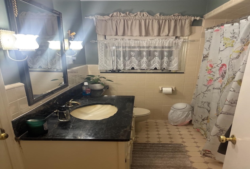 Bathroom featuring a vanity with a dark countertop and an undermount sink