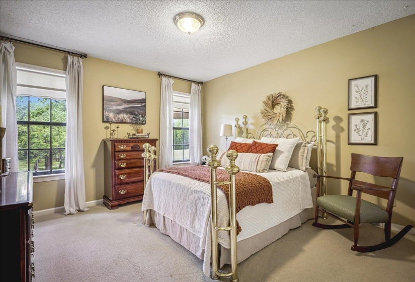 Carpeted bedroom with two double-hung windows, a brass bed frame, and a ceiling-mounted light fixture