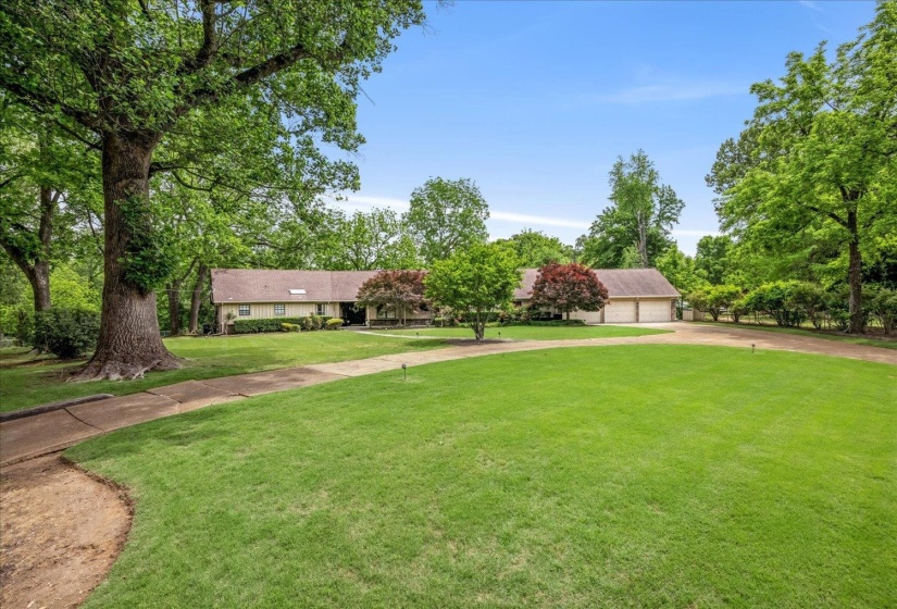 Expansive green lawn with a concrete pathway and mature trees