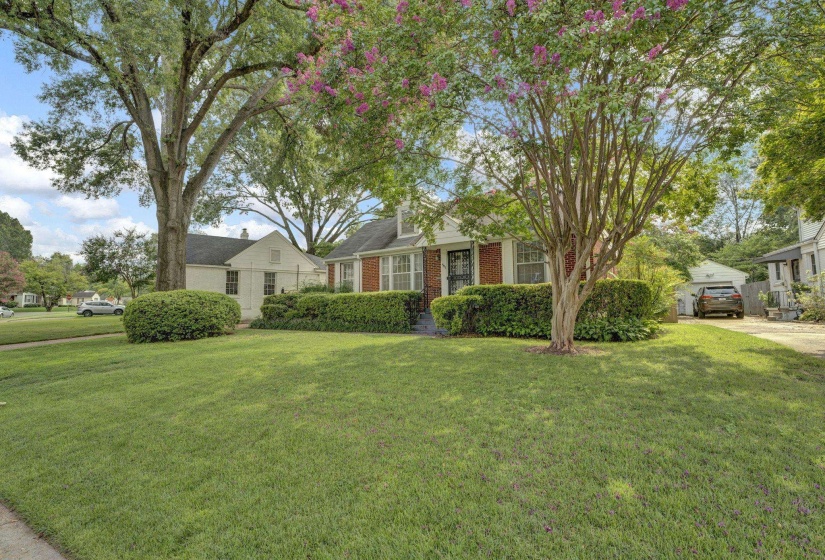 Brick and siding residence with a deep front lawn, mature trees, and established perimeter hedging